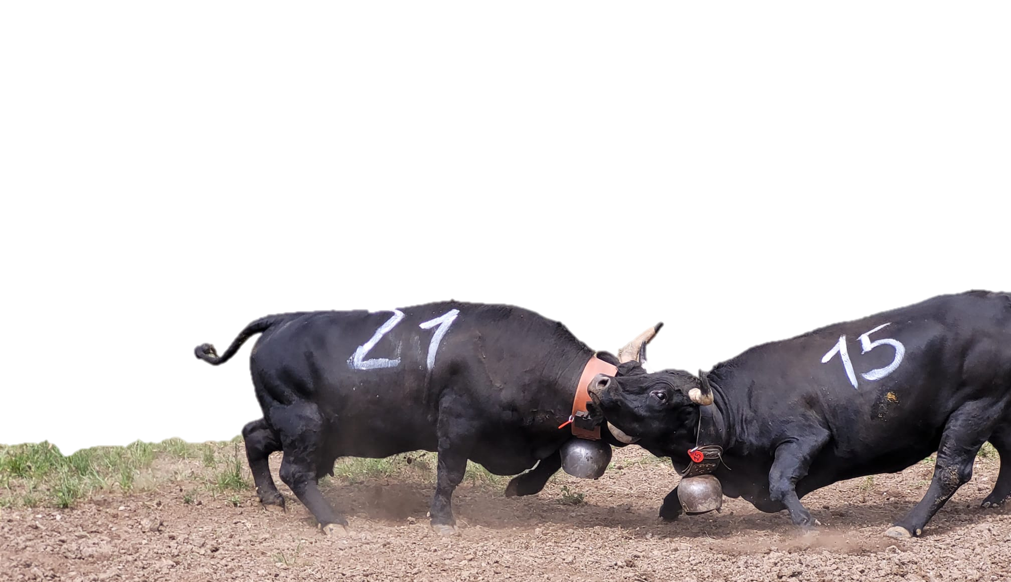 VAI