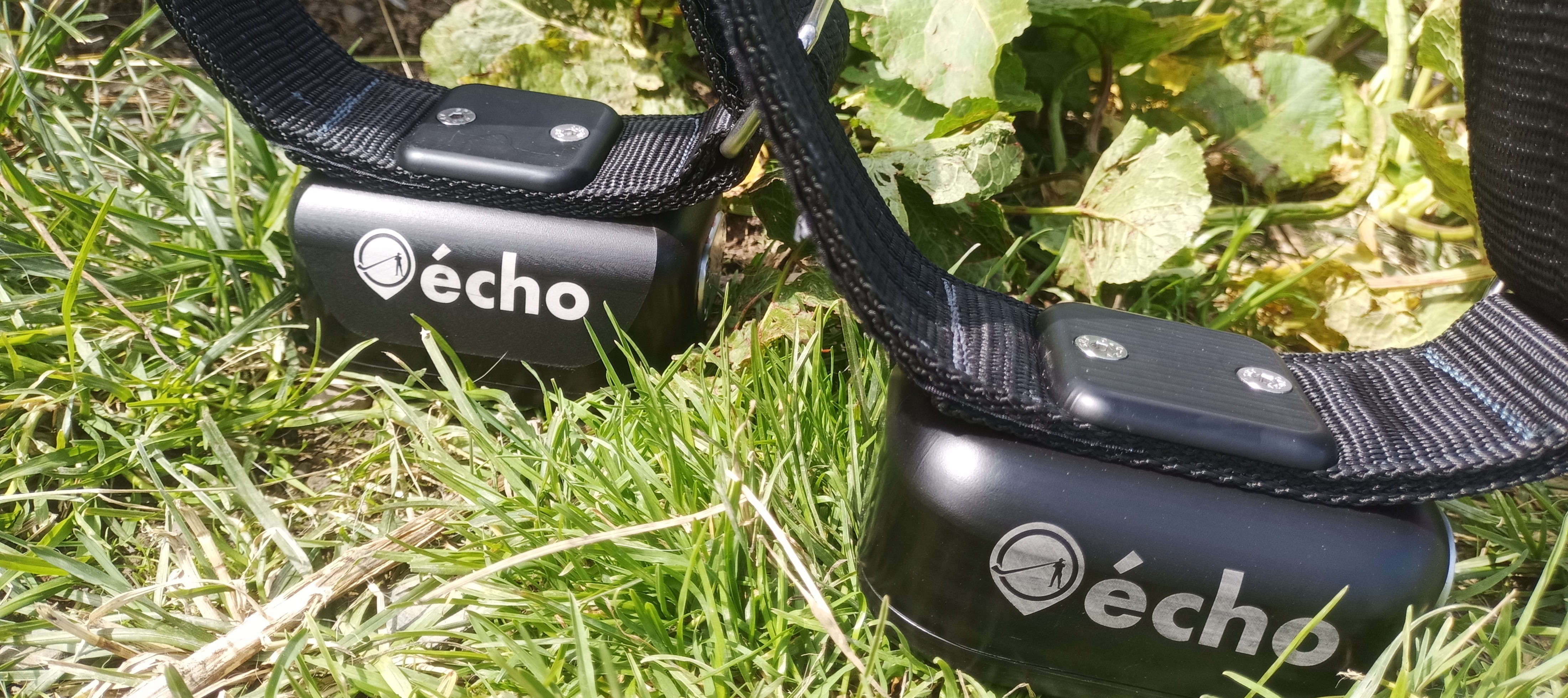 App-écho